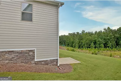 375 Werner Way, Senoia, GA 30276 - Photo 99