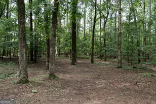 140 Scott Blvd, Tyrone, GA 30290 - Photo 81