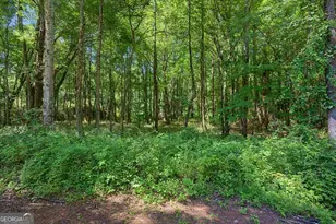 1381 Star Point Rd, Carrollton, GA 30116 - Photo 47