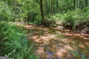 1381 Star Point Rd, Carrollton, GA 30116 - Photo 49