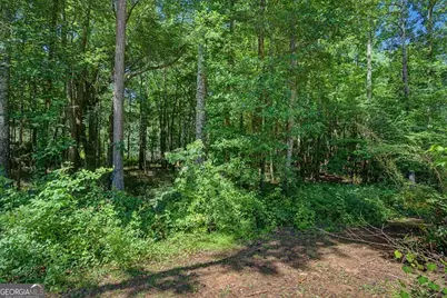 1381 Star Point Road, Carrollton, GA 30116 - Photo 45