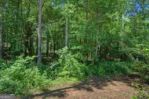 1381 Star Point Rd, Carrollton, GA 30116 - Photo 45