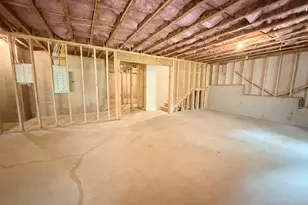 365 Chestnut Chase, Hoschton, GA 30548 - Photo 51