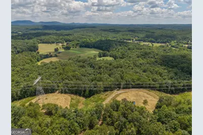 0 Mount Pleasant Road NE, Fairmount, GA 30139 - Photo 33