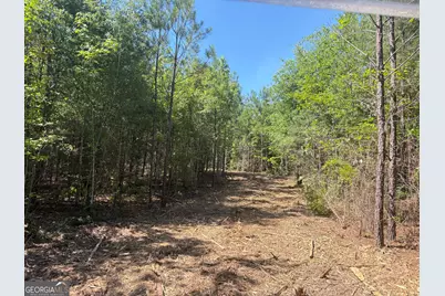 L1 Prosser Road, Sandersville, GA 31082 - Photo 9