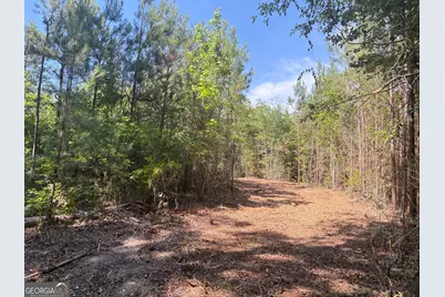 L1 Prosser Road, Sandersville, GA 31082 - Photo 7