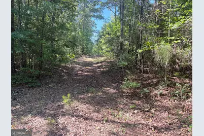L1 Prosser Road, Sandersville, GA 31082 - Photo 5