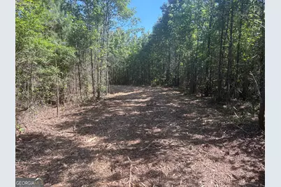 L4 Prosser Road, Sandersville, GA 31082 - Photo 7
