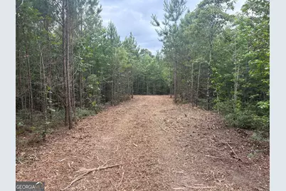 L4 Prosser Road, Sandersville, GA 31082 - Photo 3