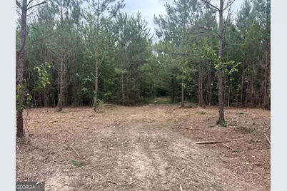 L6 N Indian Trail Road, Sandersville, GA 31082 - Photo 7
