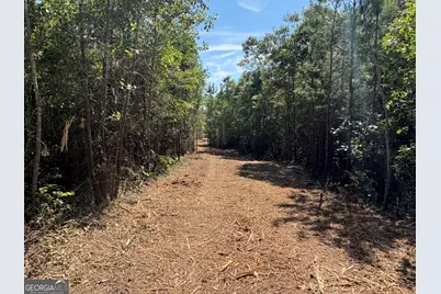 L6 N Indian Trail Road, Sandersville, GA 31082 - Photo 3
