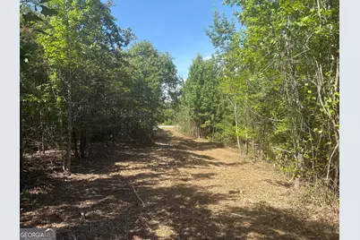 L6 N Indian Trail Road, Sandersville, GA 31082 - Photo 1