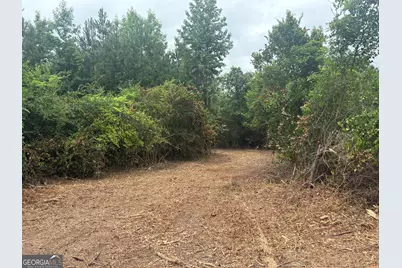 L9 N Indian Trail Road, Sandersville, GA 31082 - Photo 17
