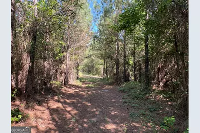 L9 N Indian Trail Road, Sandersville, GA 31082 - Photo 3