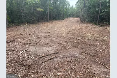 L9 N Indian Trail Road, Sandersville, GA 31082 - Photo 19