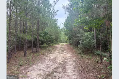 L9 N Indian Trail Road, Sandersville, GA 31082 - Photo 13