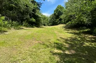 10667 Hwy 411, Chatsworth, GA 30705 - Photo 35