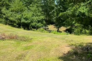 10667 Hwy 411, Chatsworth, GA 30705 - Photo 39