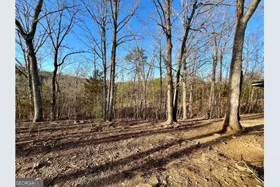 10667 Highway 411, Chatsworth, GA 30705 - Photo 45