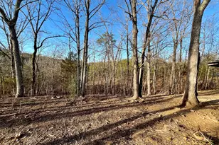 10667 Hwy 411, Chatsworth, GA 30705 - Photo 45