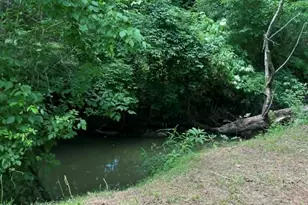 10667 Hwy 411, Chatsworth, GA 30705 - Photo 37