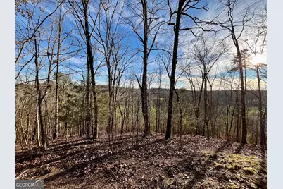 10667 Highway 411, Chatsworth, GA 30705 - Photo 41