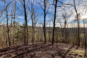 10667 Hwy 411, Chatsworth, GA 30705 - Photo 41