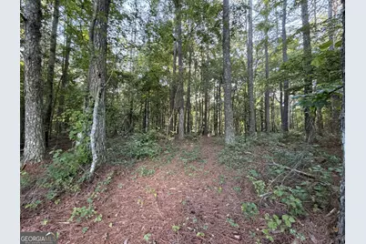 0 Wildcat Road, Buchanan, GA 30113 - Photo 3