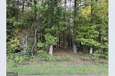 0 Wildcat Road, Buchanan, GA 30113 - Photo 1