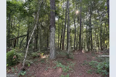 0 Wildcat Road, Buchanan, GA 30113 - Photo 5
