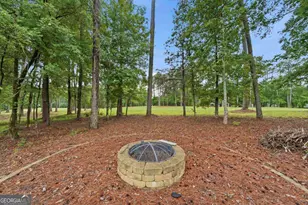 1781 Osprey Poynte, Greensboro, GA 30642 - Photo 47