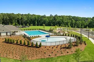 33 Cyrilla Walk, Dallas, GA 30132 - Photo 41