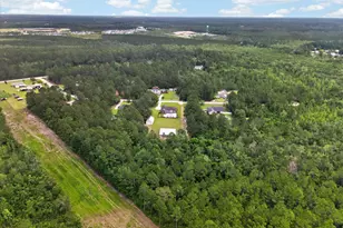 176 NE Cathy Ln, Ludowici, GA 31316 - Photo 49