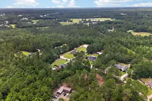 176 NE Cathy Ln, Ludowici, GA 31316 - Photo 47