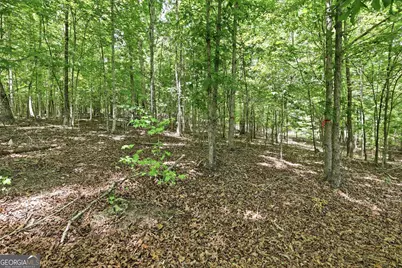 171 &amp; 172 Laceola North Road, Cleveland, GA 30528 - Photo 7
