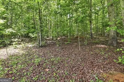 171 &amp; 172 Laceola North Road, Cleveland, GA 30528 - Photo 11