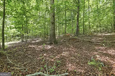 171 Laceola North Road, Cleveland, GA 30528 - Photo 3