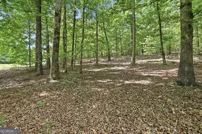 172 Laceola North Road, Cleveland, GA 30528 - Photo 3