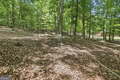 172 Laceola North Road, Cleveland, GA 30528 - Photo 5