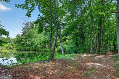 86 Pollen Trail, Grantville, GA 30220 - Photo 51