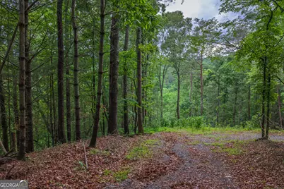 9 Deer Haven Drive, Morganton, GA 30560 - Photo 13
