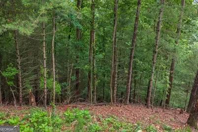 9 Deer Haven Drive, Morganton, GA 30560 - Photo 11