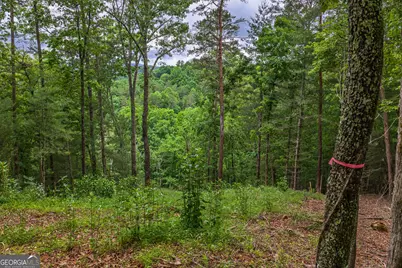 9 Deer Haven Drive, Morganton, GA 30560 - Photo 7