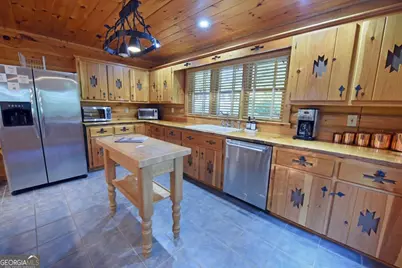2682 Douthit Road, Mineral Bluff, GA 30559 - Photo 37