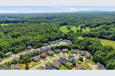 785 Dawn Place, Alto, GA 30510 - Photo 35