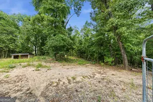 390 Dedrick Rd, Mcintyre, GA 31054 - Photo 55