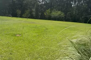 733 Old Social Circle Rd, Social Circle, GA 30025 - Photo 3