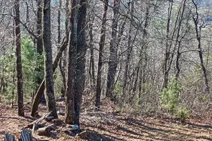548 Confederate Dr, Clayton, GA 30525 - Photo 13