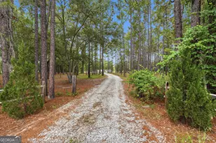 2857 Ga Hwy 119 N, Ellabell, GA 31308 - Photo 5