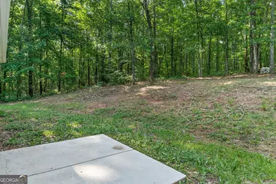 2430 Highway 85, Senoia, GA 30276 - Photo 35